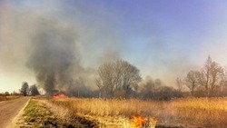 Мусор загорелся возле дороги в Ново-Александровске 26 сентября