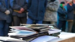 В Госдуму внесут проект о пожизненном запрете на въезд в РФ иностранцам с судимостью