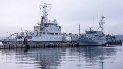 Два военных корабля НАТО вошли в акваторию Финского залива