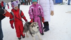Сахалинцев приглашают на чемпионат по ездовому спорту «Снежный драйв Сахалина»