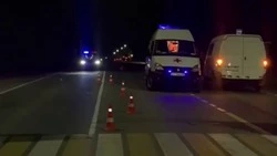 Пенсионерка скончалась в больнице после наезда «Соболя» в Корсаковском районе