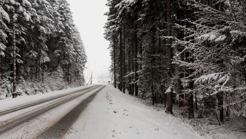 Рейсы 13 автобусных маршрутов отменят на Сахалине 8 марта из-за метели