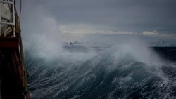 Губернатор взял на контроль борьбу с последствиями «Хиннамнора» на Сахалине