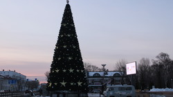 Новогодние елки начали устанавливать на главных площадях Южно-Сахалинска. Фоторепортаж