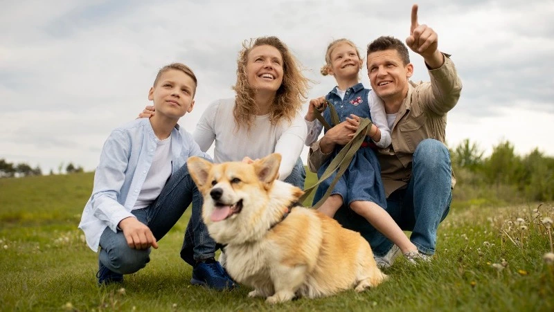 8 июля 2024 — День семьи, любви и верности, День Петра и Февронии, День бамовца