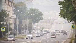 Дело всех и каждого: новый министр экологии Сахалина и Курил дал первое интервью