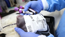 В донорской крови всех групп нуждается станция переливания в столице Сахалина