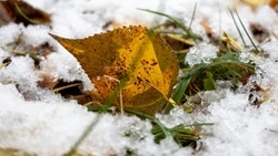 На Сахалине будет снег, а на Курилах — ураганный ветер 10 октября