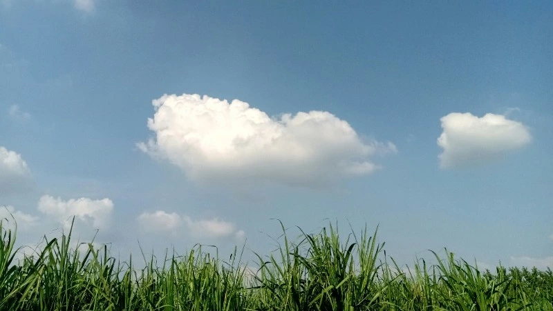 Жара, туман и свежий ветер ждет жителей Сахалина и Курил 24 июня