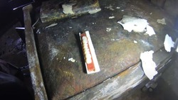Диггеры нашли ящик зубов в заброшенном здании на юге Сахалина
