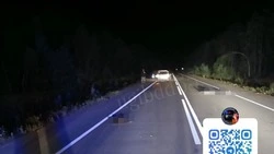 Скончался на месте: пожилой водитель сбила пешехода на трассе Южно-Сахалинск — Оха