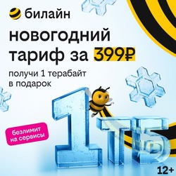 1 терабайт для всех: билайн дарит возможность забыть о трафике на целый год