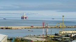 На Сахалине у Холмского морского порта пытались выманить имущество с помощью фальшивого договора