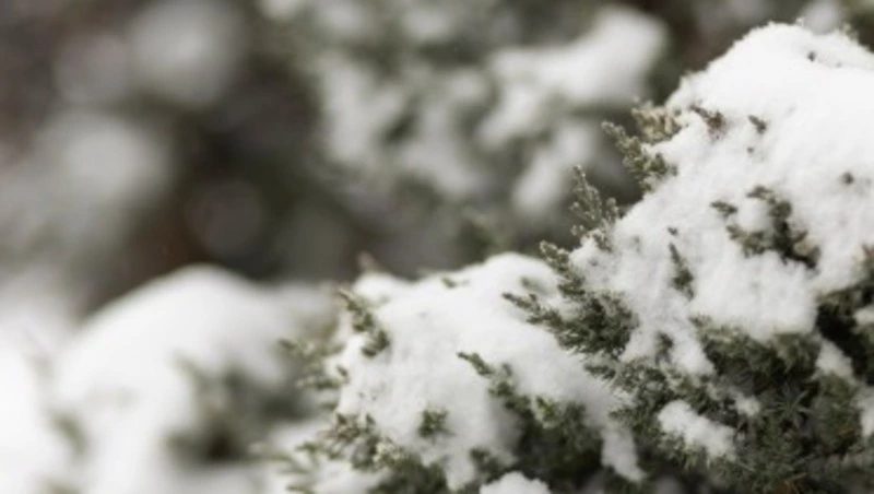 Снег и до -8 градусов ждет жителей Южно-Сахалинска 8 ноября