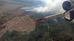 Возле села Дачного на Сахалине потушили лесной пожар площадью не менее сотни гектаров