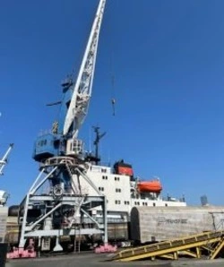 Почти 500 тысяч тонн рыбной продукции отправили на экспорт с Сахалина и Приморья