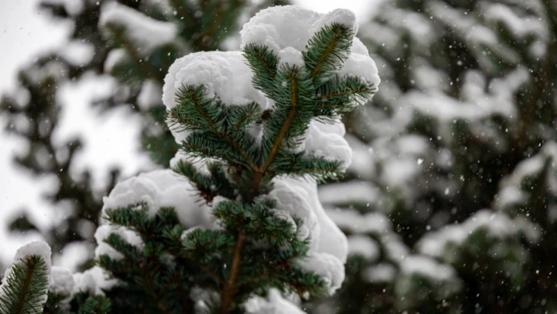 Погода на Сахалине 13 января: небольшой снег и умеренный ветер