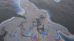 В Невельске устранили последствия разлива нефти