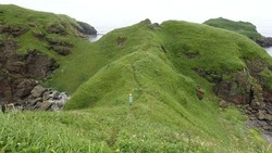 Ученые назвали испорченные туристами места на Кунашире и Шикотане