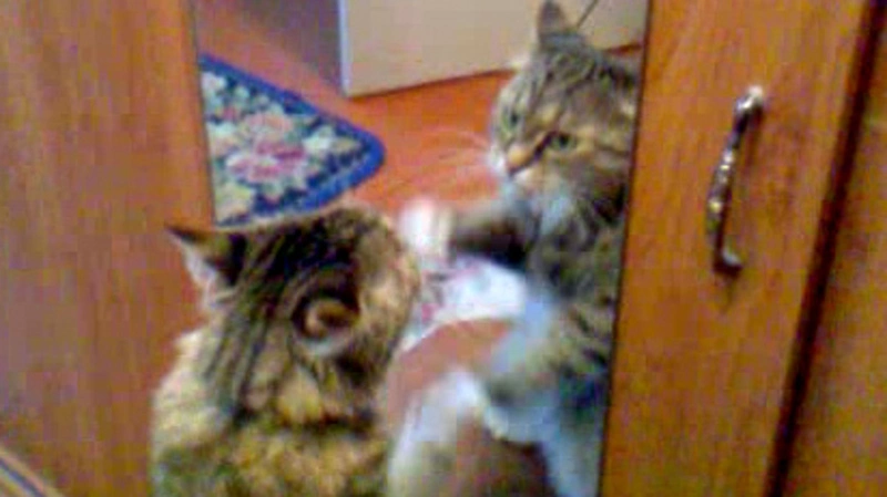 Елена Ткачук. Маруся и зеркало