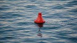 Сотрудник МЧС на Сахалине спас тонущую в реке девочку