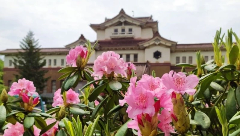 Смерть в парке и другие громкие новости: ТОП-10 событий лета-2022 на Сахалине