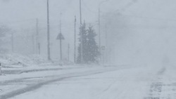 Ураган и мокрый снег пообещал Гидрометцентр жителям Сахалинской области