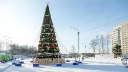 Сергей Надсадин проверил уборку дворов и состояние катков в Южно-Сахалинске