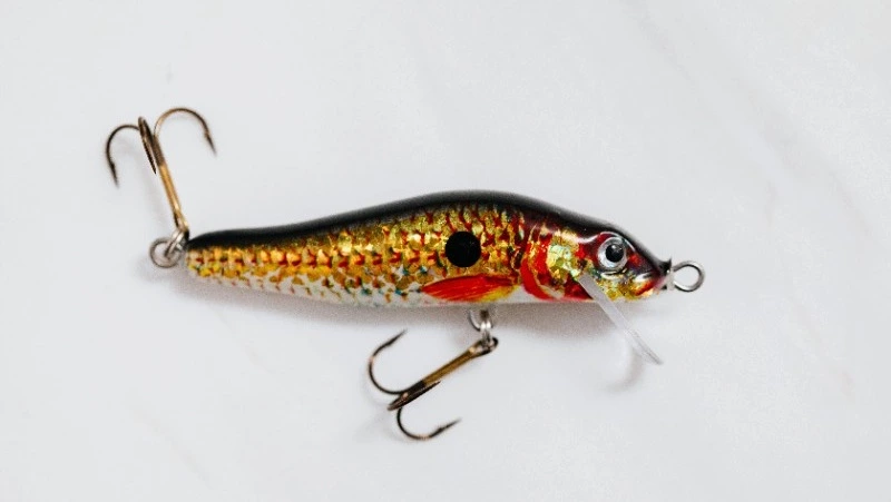 Любимая рыба сахалинцев: жители предпочитают «морскую курицу»