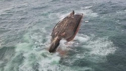 Два человека погибли при крушении судна в порту Корсакова