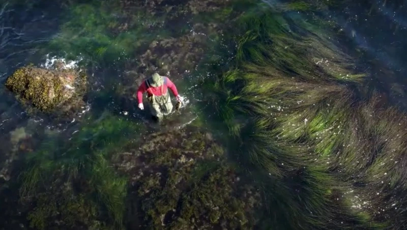 Рыбалку в произведение искусства превратил сахалинский блогер