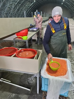 26 млн икринок и четыре рабочих места — на Курилах открыли новый рыбоводный завод