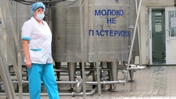 Правительство РФ готово сдержать рост цен на молочные продукты