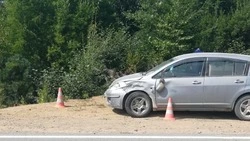 Спасая собаку, водитель сбил насмерть ее хозяина на севере Сахалина