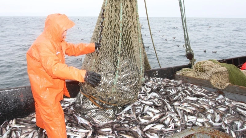 В осеннем море