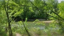 Труп женщины обнаружили в реке Сусуя в Южно-Сахалинске