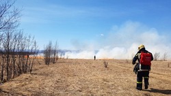 Сухая трава вспыхнула в четырех районах на юге Сахалина