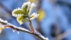 Погода в Южно-Сахалинске 15 февраля: небольшой снег и мороз
