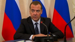 Медведев рассказал подробности частичной мобилизации в России 