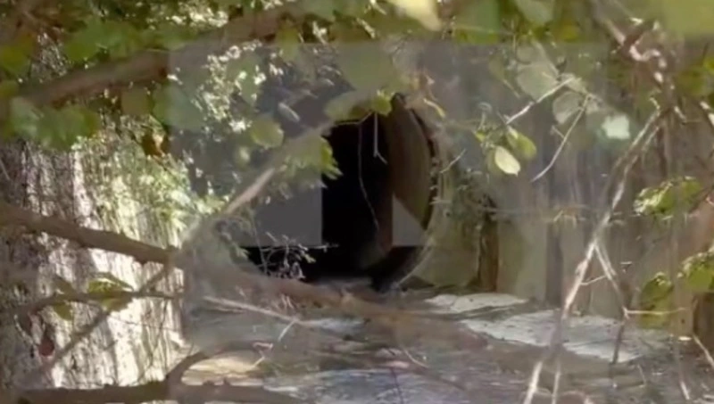 Коллектор, где нашли тело блогера с Сахалина Кристины Рэй, показали на видео