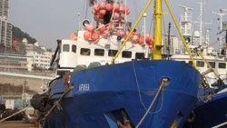 На Сахалине компания «КУК», связанная с «крабовым королем» Олегом Каном, проиграла суд приставам