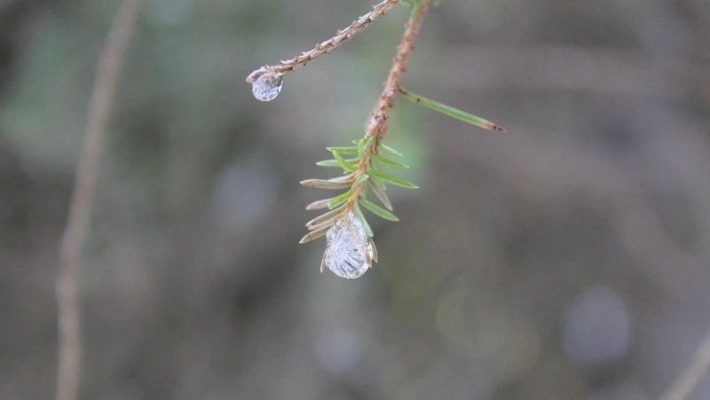 Церковный праздник 27 февраля 2025: что нельзя делать в этот день, приметы