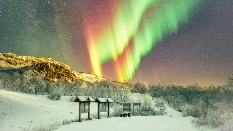 Гороскоп на 17 марта 2024 года: домашние хлопоты и приобретение новых навыков