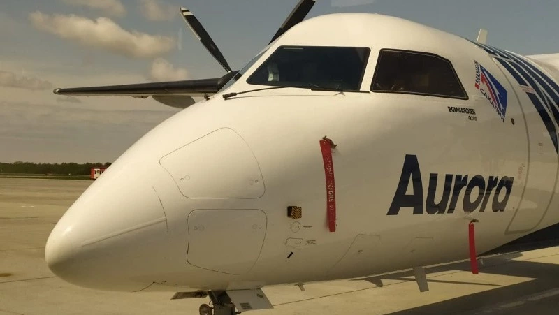 6 млрд рублей дадут «Авроре» на субсидируемые перевозки по Дальнему Востоку