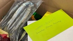 Первые именные посылки от Сахалинской области отправят военнослужащим на СВО