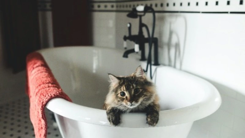 Несколько домов Южно-Сахалинска остались без горячей воды на сутки