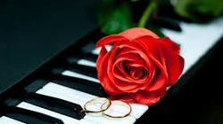 В День Святого Валентина южносахалинцев не будут женить и разводить