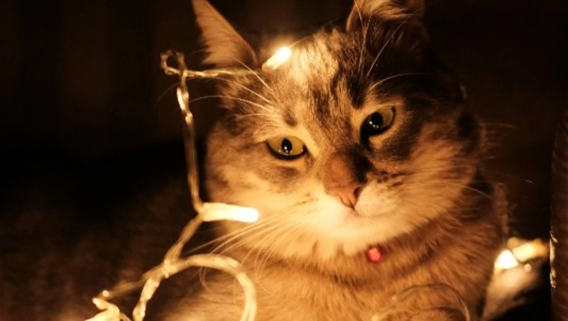 Детская больница и десятки домов в Южно-Сахалинске остались без света 27 июня