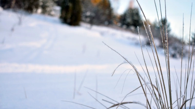 Церковный праздник 18 ноября 2024: что нельзя делать в этот день, приметы