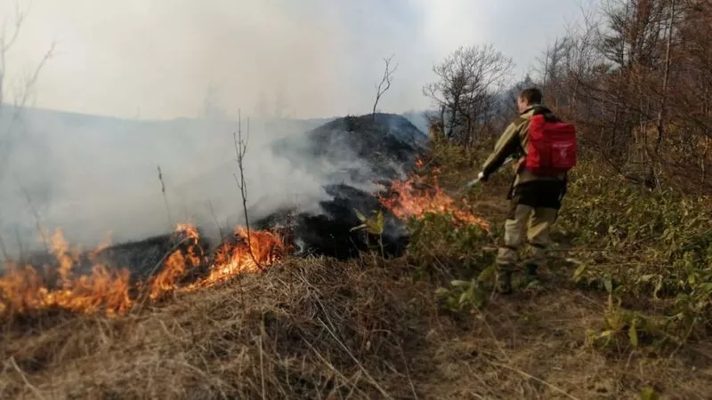 Пожарные вылили 48 тонн воды с вертолета на горящие поля у Южно-Сахалинска